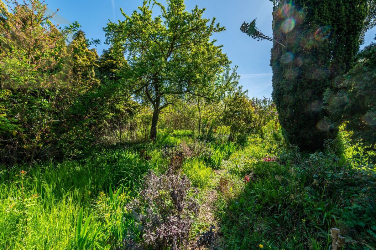 Garten
