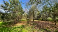 Gartenland - Zweifamilienhaus mit Schwimmbad, 3 Garagen und großem Grundstück – ideal für Pferdeliebhaber!