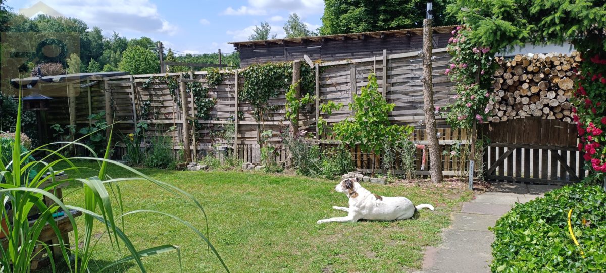 Garten Westseite mit Eingang