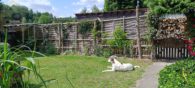 Garten Westseite mit Eingang - Einfamilienhaus mit Urlaubsfeeling inklusive Gästehaus in Wilsche! Meine Immobilie = Mein Partner!