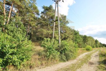 21.429 m² Bauerwartungsland in Grußendorf nahe Gifhorn! Mein Grundstück = Mein Makler!, 38524 Sassenburg Grußendorf, Gewerbegrundstück