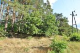 Grundstück - 21.429 m² Bauerwartungsland in Grußendorf nahe Gifhorn! Mein Grundstück = Mein Makler!