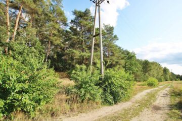 21.429 m² Bauerwartungsland in Grußendorf nahe Gifhorn! Mein Grundstück = Mein Makler!, 38524 Sassenburg Grußendorf, Grundstück