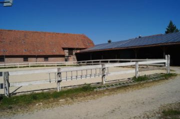 Reiterhof mit Innenstallungen, Reitplatz und ertragreicher PV-Anlage! Mein Haus = mein Makler!, 38319 Remlingen, Haus