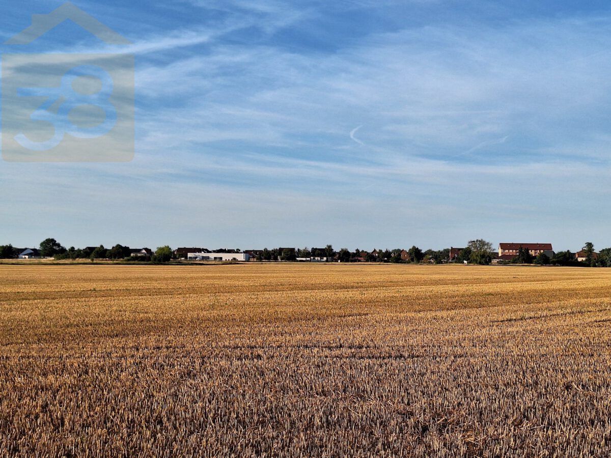 Ausblick
