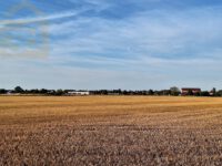Ausblick