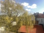 Ausblick vom Balkon - Kein Erbpacht! Gepflegte 3 Zimmer Wohnung in Königslutter! Meine Wohnung = Mein Makler!