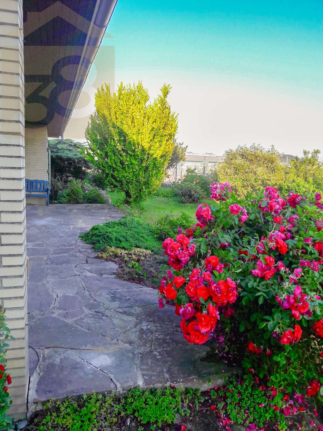 Terrasse EG