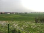Ausblick Garten - Gepflegter Bungalow in Feldrandlage! Mein Haus = Mein Makler!